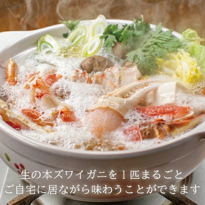 SE0443　春の生・本ズワイガニ　1匹600g程度
