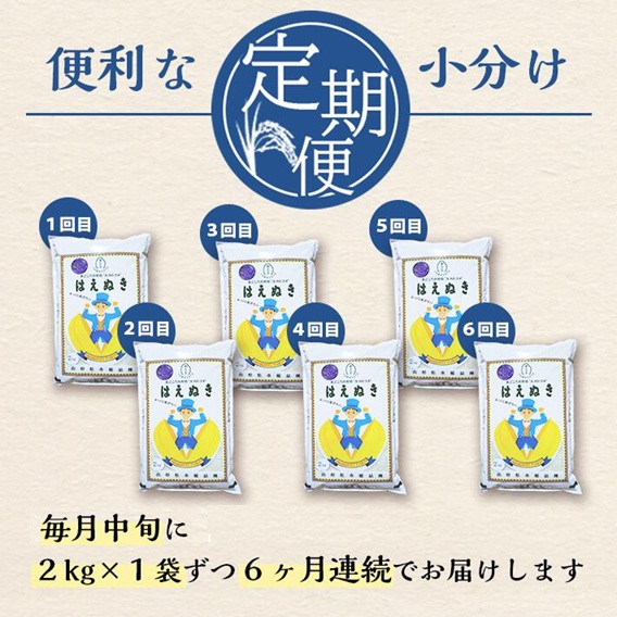 SF0290　【6回定期便】無洗米 はえぬき　2kg×6回(計12kg) SA