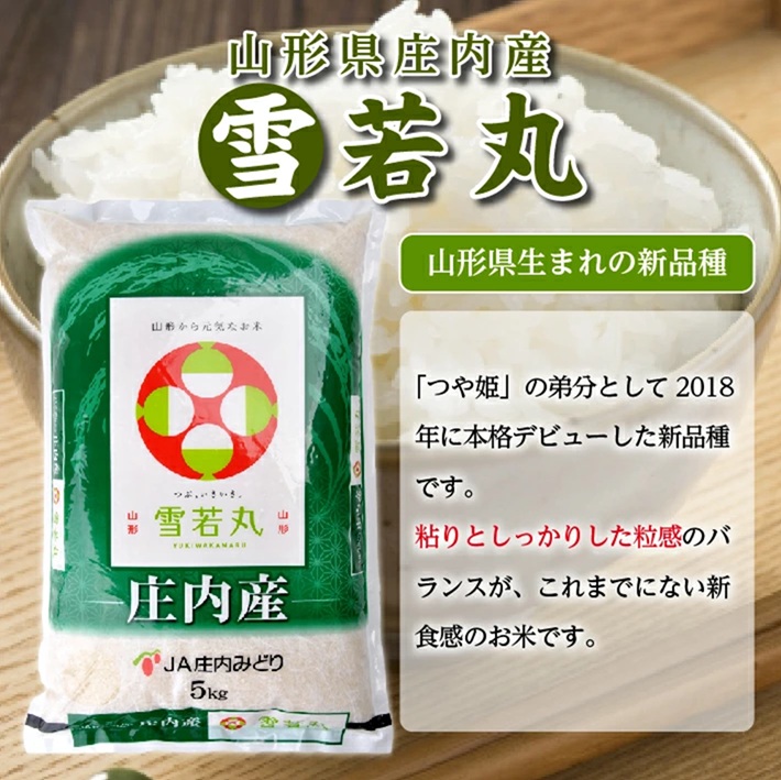 SA2818　雪若丸 5kg 令和7年産米 山形県庄内産 東北 酒田市 庄内地方 庄内平野 お米 精米 白米 ブランド米 庄内米 ごはん ご飯 農協 産地直送 JA庄内みどり