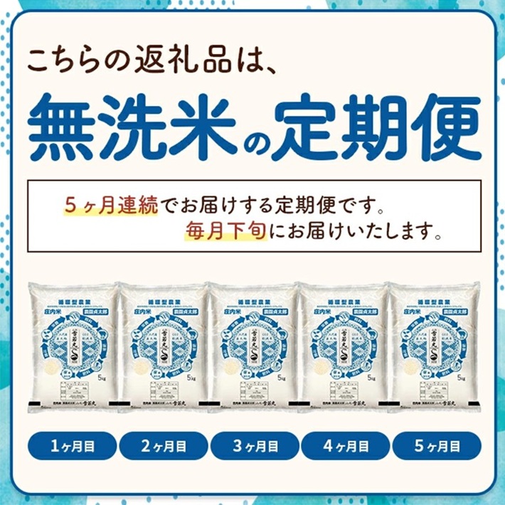 SM0054　【5回定期便】令和7年産 ［無洗米］雪若丸　5kg×5回(計25kg)