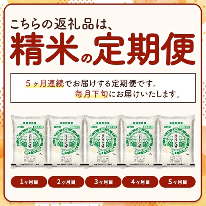 SE0501　【5回定期便】令和7年産 ［精米］はえぬき　2kg×5回(計10kg)