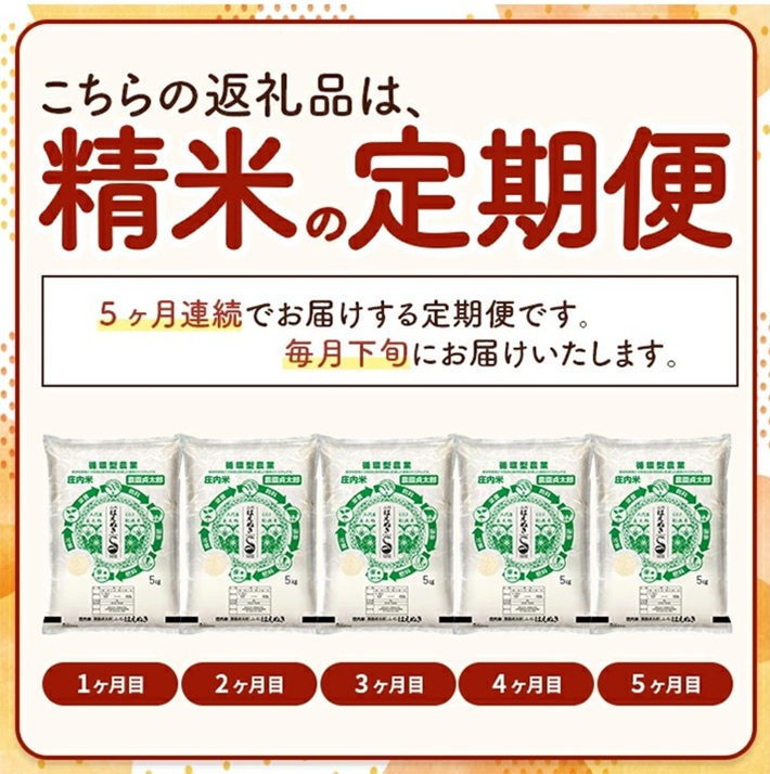 SJ0055　【5回定期便】令和7年産 ［精米］はえぬき　5kg×5回(計25kg)