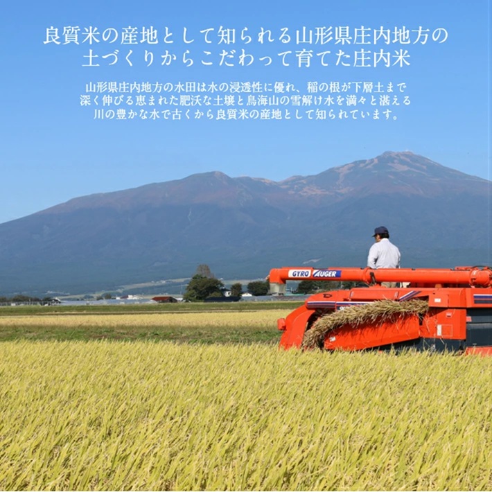 SE0540　令和7年産【精米】つや姫、はえぬき　計10kg(5kg×2袋) 《農産物検査員おすすめの庄内米》 SY