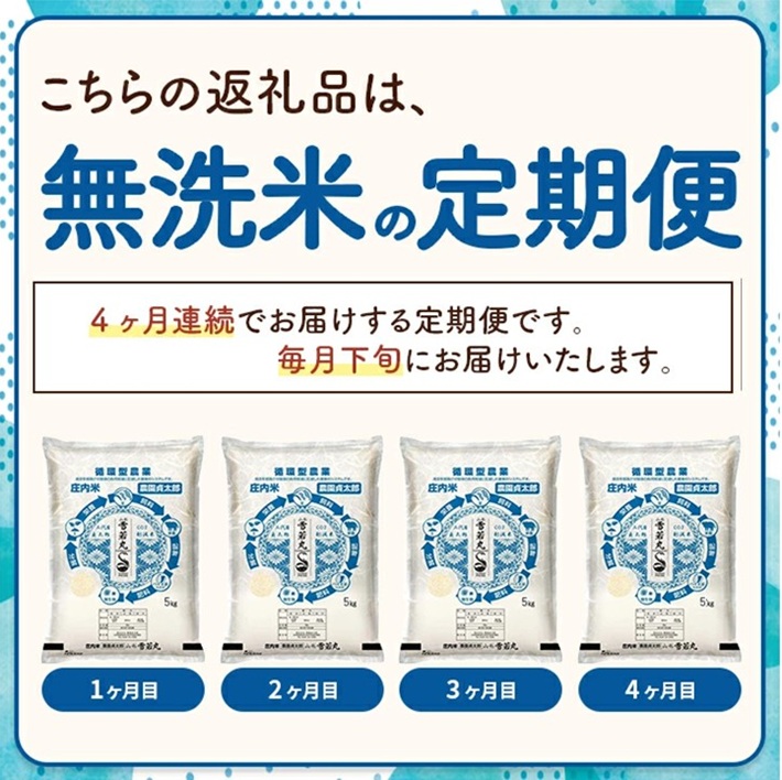 SI0056　【4回定期便】令和7年産 ［無洗米］雪若丸　5kg×4回(計20kg)