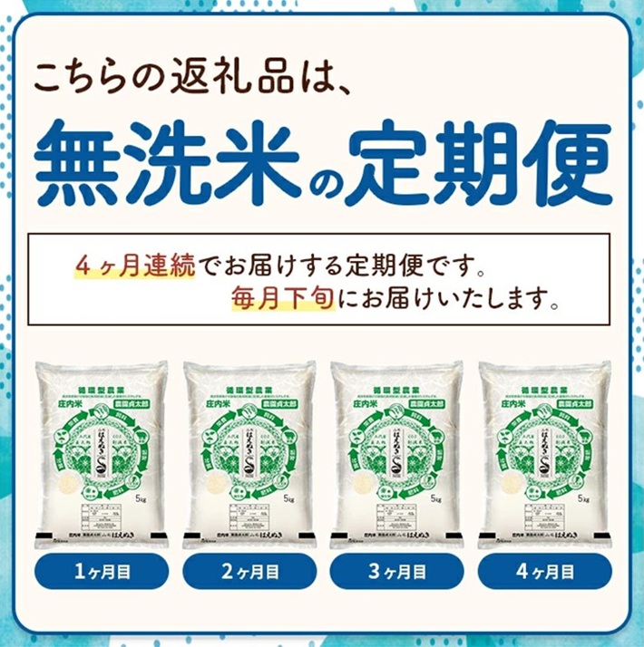 SI0058　【4回定期便】令和7年産 ［無洗米］はえぬき　5kg×4回(計20kg)