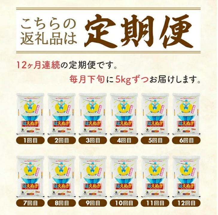 SU0020　【12回定期便】［精米］はえぬき　5kg×12回(計60kg) TO
