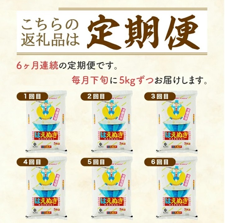 SJ0056　【6回定期便】［精米］はえぬき　5kg×6回(計30kg) TO
