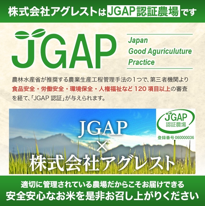 SB0832　令和7年産【無洗米】特別栽培米 つや姫　5kg(5kg×1袋) 農家直送 AG