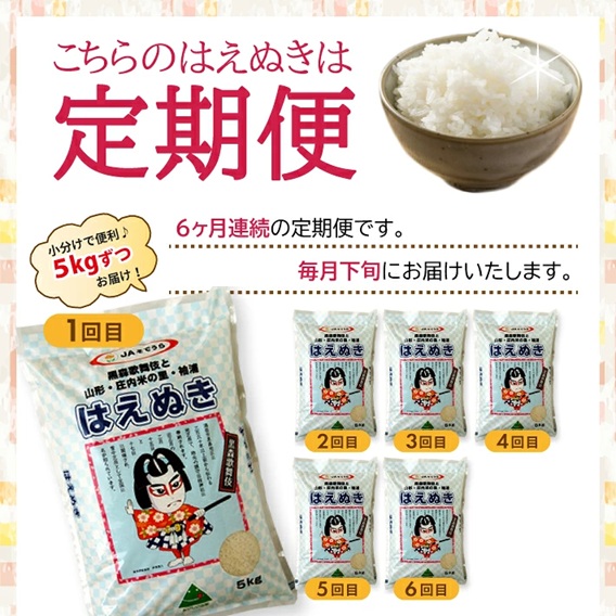 SJ0057　【6回定期便】令和7年産［精米］はえぬき　5kg×6回(計30kg) JS