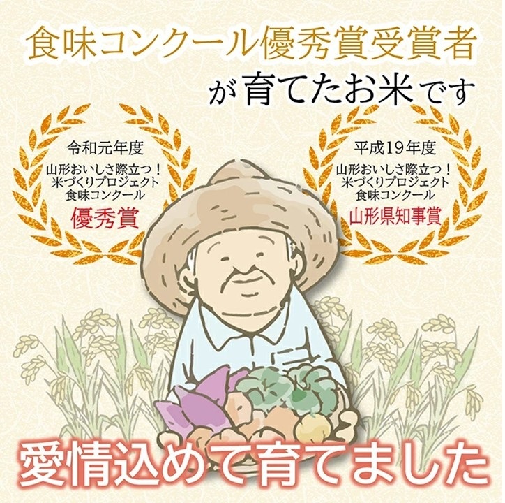 SA2814　令和7年産【精米】コシヒカリ　5kg(5kg×1袋) JS