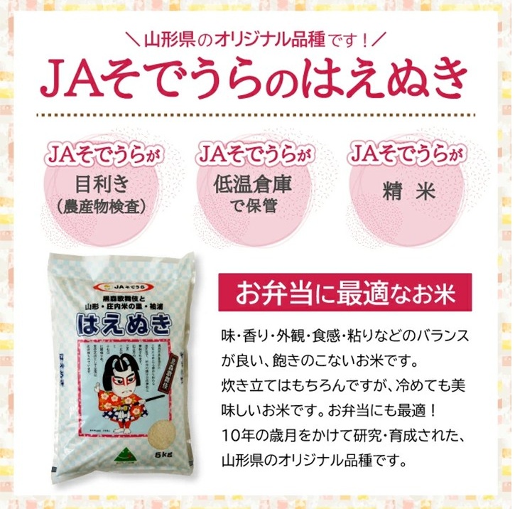 SA2815　令和7年産【精米】はえぬき　5kg(5kg×1袋) JS