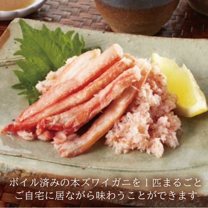 SD0235　春のボイル・本ズワイガニ　1匹400g程度