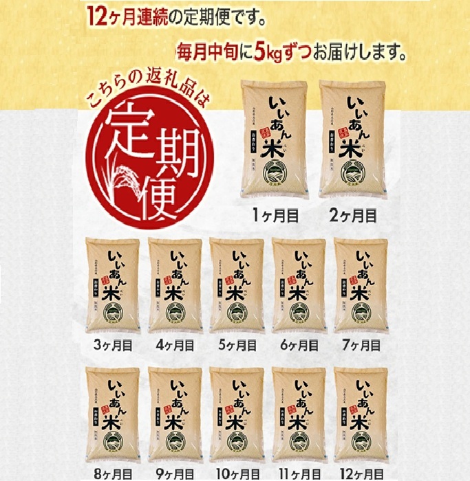 SS0005　≪12ヶ月定期便≫ 無洗米 お香わり（山形95号） 5kg×12ヶ月連続 計60kg 山形県庄内産 毎月中旬頃にお届け 米 お米 精米 白米 定期便 AG アグレスト