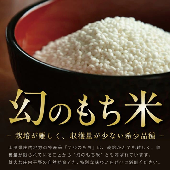 SZ0309　令和7年産【もち米】でわのもち　2kg(2kg×1袋) YA
