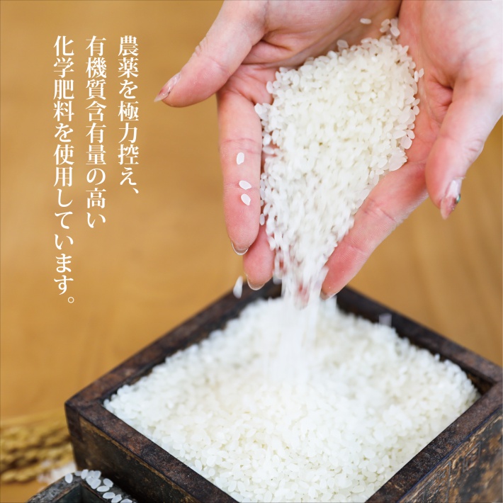 SA2842　令和7年産【白米】雪若丸　5kg(5kg×1袋) YA