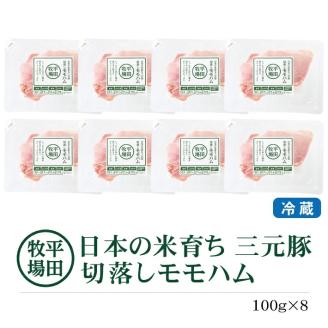 SA1335　【平田牧場】 三元豚 切り落としモモハム　100g×8パック