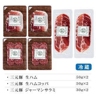 SA1336　【平田牧場】 三元豚 生ハム3種セット 　計6パック(生ハム、生ハムコッパ、サラミ 各2パック)