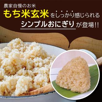 SZ0201　もち米 玄米おにぎり プレーン10個
