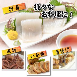 SB0401　船内急速冷凍するめいか　8尾