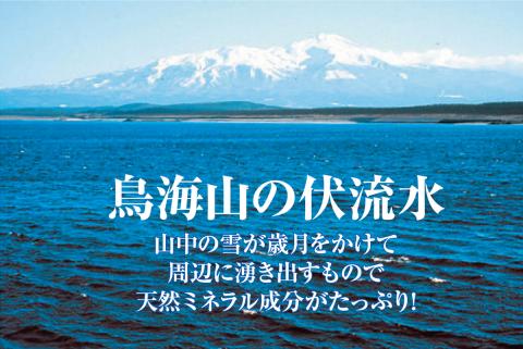SA1956　天然塩 酒田の塩の「ワイン塩2種(赤・ロゼ)」＆「酒田の塩(プレーン)」 3種セット
