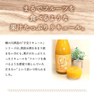 SA1945　酒田の酒屋厳選　子宝リキュール 番外編マンゴー　720ml×2本