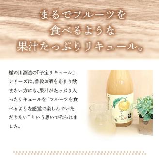 SZ0140　酒田の酒屋厳選　子宝リキュール 番外編ゆず　720ml×1本