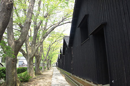 山形県酒田市ANAトラベラーズダイナミックパッケージクーポン30,000点分