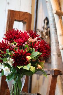 SL0213　とれたて「酒田のダリアの花束」