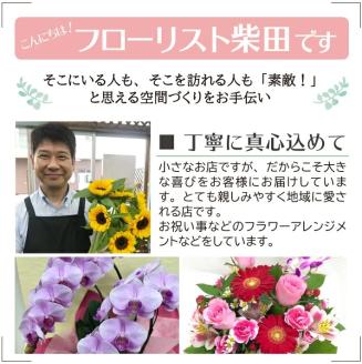 SBT0014　【12回定期便】オリエンタルユリの花束