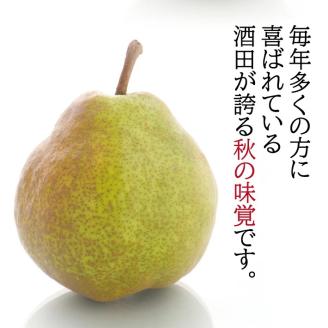 SB0670　酒田の美味しいラ・フランス(洋梨) 秀品　約5kg(12～18玉入)