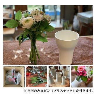 SL0228　【12回定期便】毎月お花を飾ろう 「うちハナキット 12」