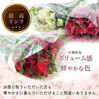 SB0674　アルストロメリアの花束　計30本(白色、ピンク色、赤色/各10本)
