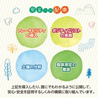 SA0587　SHONAI PRIDE　季節のこだわり野菜セット