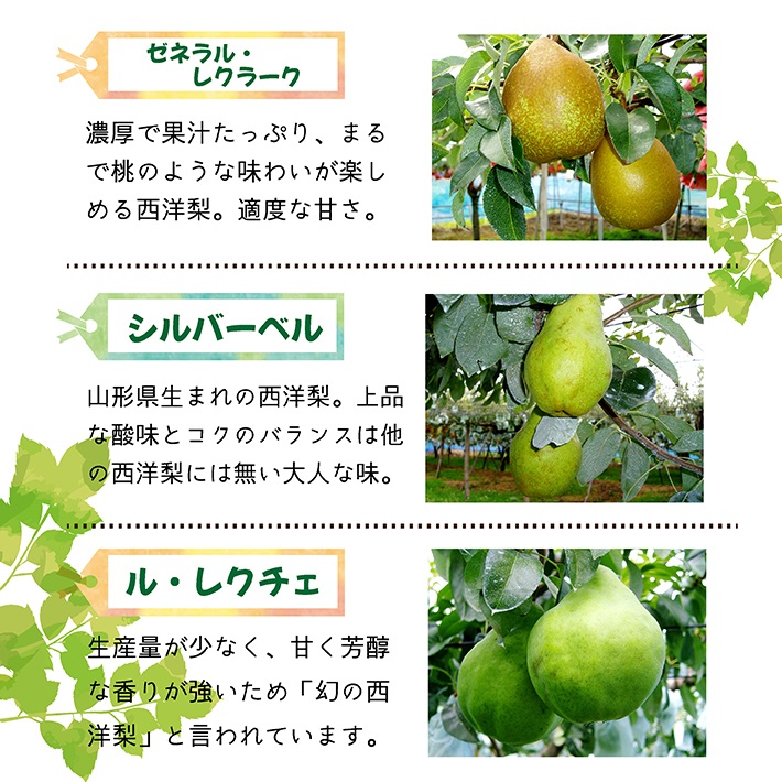 SA2720　六代多右エ門　西洋梨 おまかせ3品種　約3kg(8～9玉) 化粧箱入