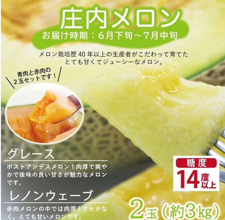 SE0464　【3回定期便】農家直送 旬のフルーツ定期便2026 (いちご、庄内メロン、いちじく)