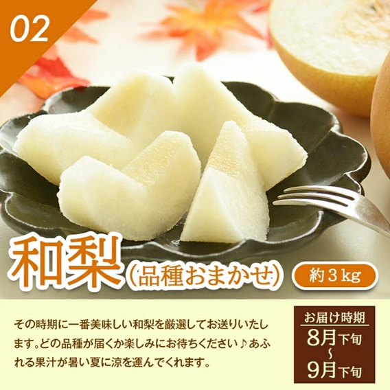 SF0319　【4回定期便】とれたて！フルーツ頒布会2026 (アンデスメロン、和梨、庄内柿、ラ・フランス)