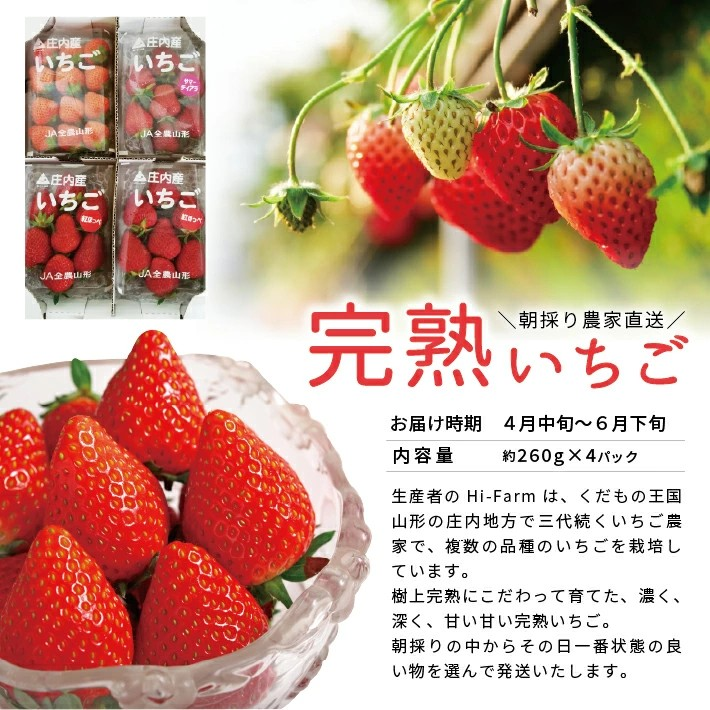 SE0520　【3回定期便】春・夏・秋 フルーツリレー2026 (イチゴ・アンデスメロン・シャインマスカット)