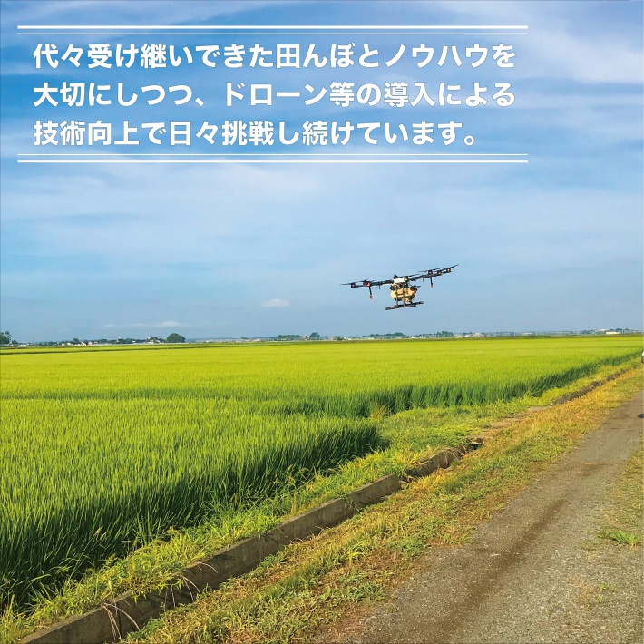 SE0455　令和6年産【玄米】はえぬき　12kg(5kg×2袋+2kg×1袋) YA