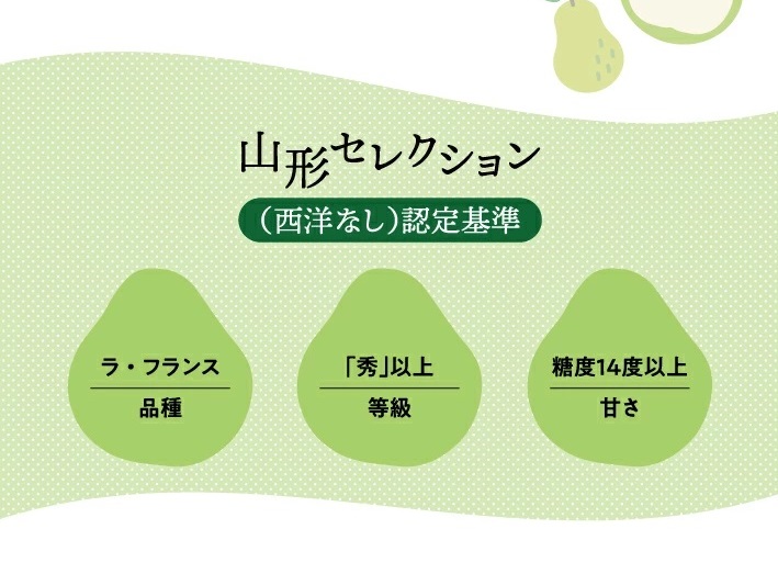 SA2719　六代多右エ門　西洋梨 特選 ラ・フランス《山形セレクション》　約3kg(9～10玉) 2L～3Lサイズ 化粧箱入