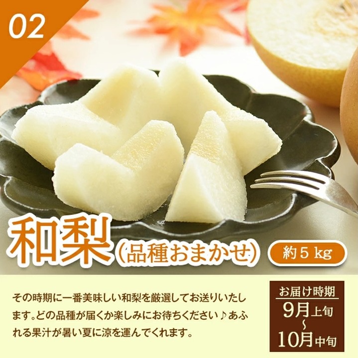 SG0111　【4回定期便】季節のフルーツ頒布会2026(アンデスメロン、和梨、庄内柿、洋梨〔シルバーベル〕)