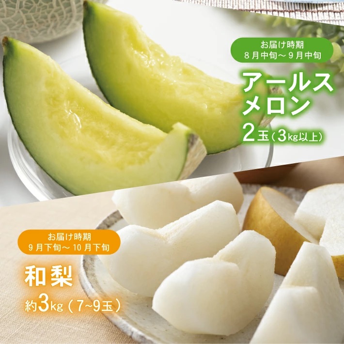 SF0294　【3回定期便】酒田の果物専門店厳選　くだもの定期便2026 (小玉すいか、アールスメロン、和梨)