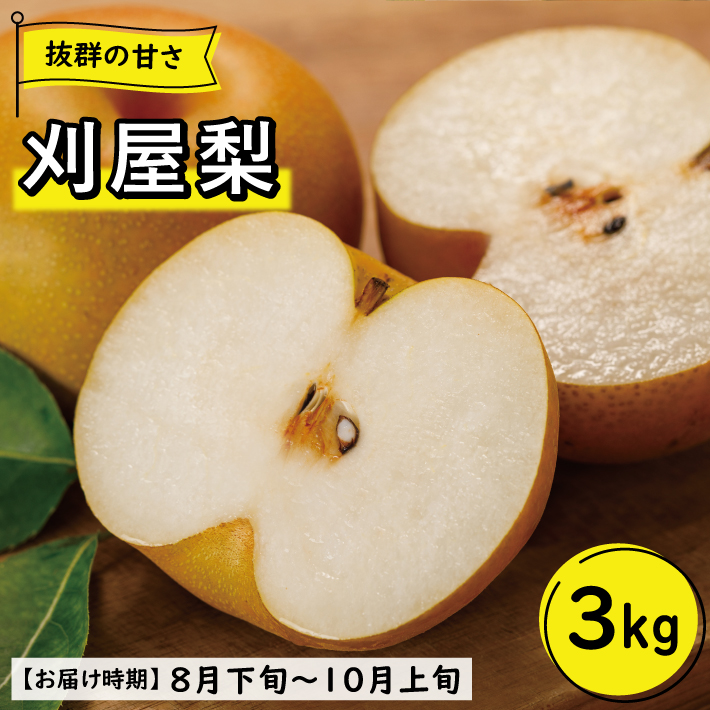 SF0301　【4回定期便】酒田の季節のフルーツ頒布会 Ａコース2026 (プレミアム〔大玉〕メロン、刈屋梨、庄内柿、ラ・フランス)