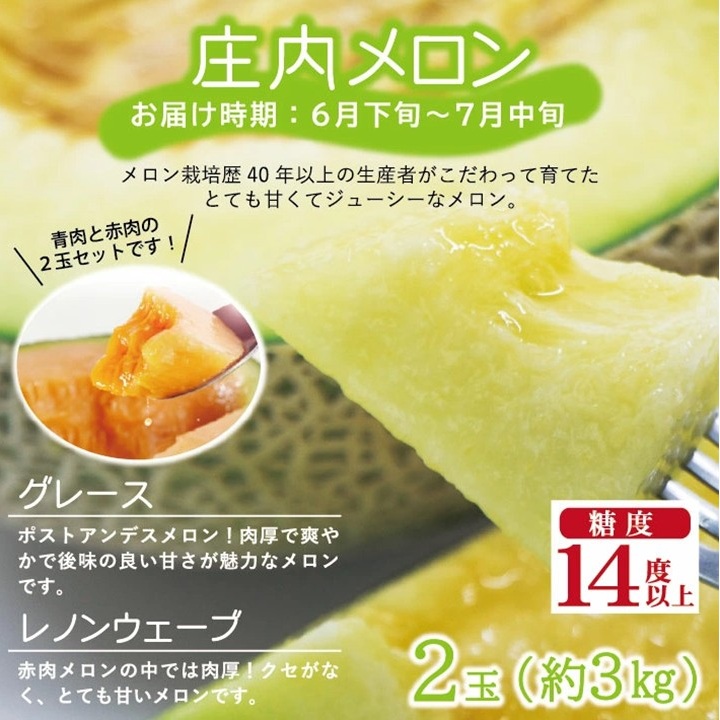 SE0463　【3回定期便】農家直送 こだわりのフルーツ定期便2026 (いちご、庄内メロン、いちじく)