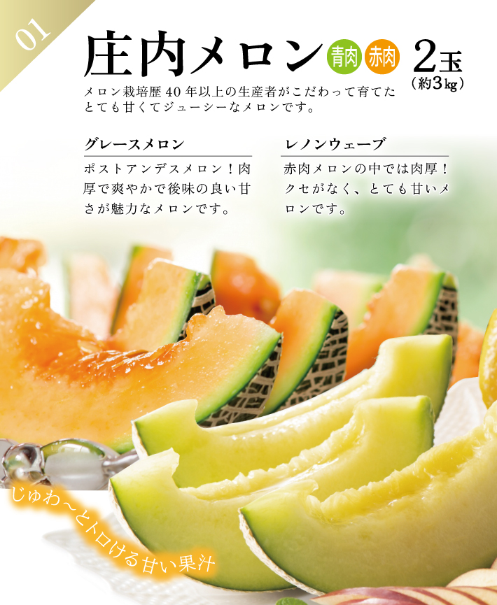 SE0465　【3回定期便】農家直送 フレッシュフルーツ定期便2026 (庄内メロン、青ぶどう、赤ぶどう)