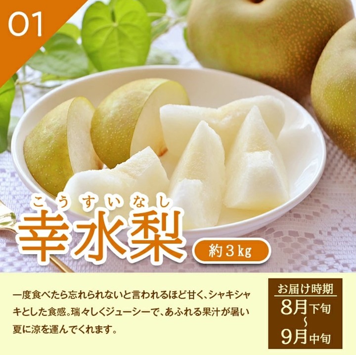 SE0509　【3回定期便】酒田産 特選 和梨3種味比べ定期便2026 (幸水梨、豊水梨、和梨〔品種おまかせ〕/各約3kg)