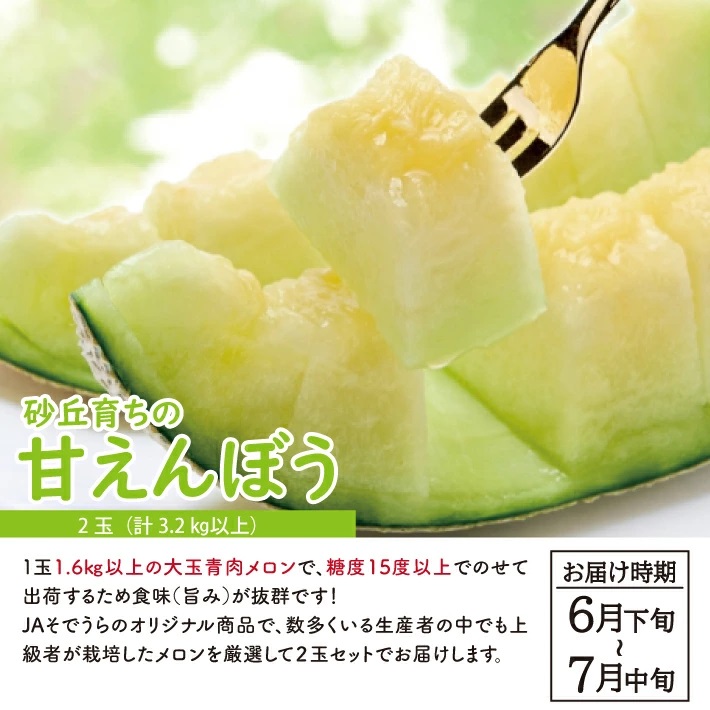 SC0628　【3回定期便】自然の恵み　春・夏・秋フルーツ定期便2026 (いちご、青肉メロン、柿)