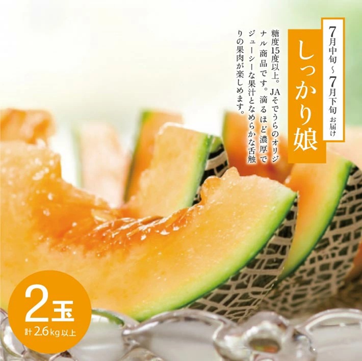 SE0507　【3回定期便】メロン好きに贈る メロンづくしの定期便2026(2) (甘えんぼう、しっかり娘、アールスメロン)