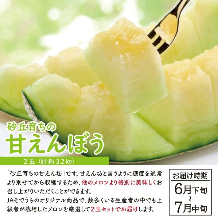 SB0804　【2回定期便】自然の恵み　春・夏フルーツ定期便2026 (いちご、青肉メロン)