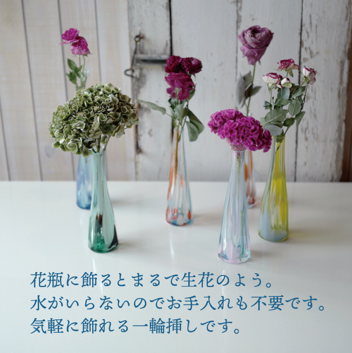 SL0225　【12回定期便】水のいらない花　ゼロフラワー定期便「花いちりん」