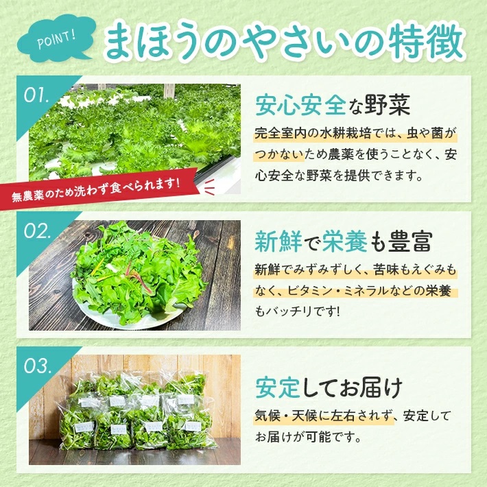 SA2136　「まほうのやさい すこやかセット」　ベビーリーフ　計900g(100g×9袋)